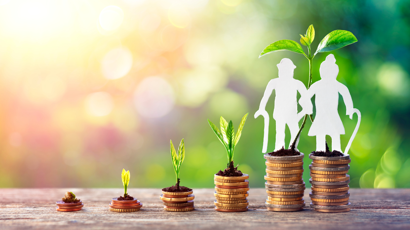 איך לבחור קרן פנסיה